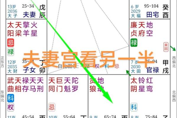夫妻宫贪狼星化忌_夫妻宫贪狼星化忌女命 夫妻宫贪狼星化忌_夫妻宫贪狼星化忌女命