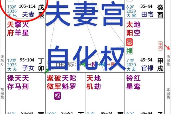 夫妻宫紫薇天相 夫妻宫紫薇天相是什么意思女命 夫妻宫紫薇天相 夫妻宫紫薇天相是什么意思女命