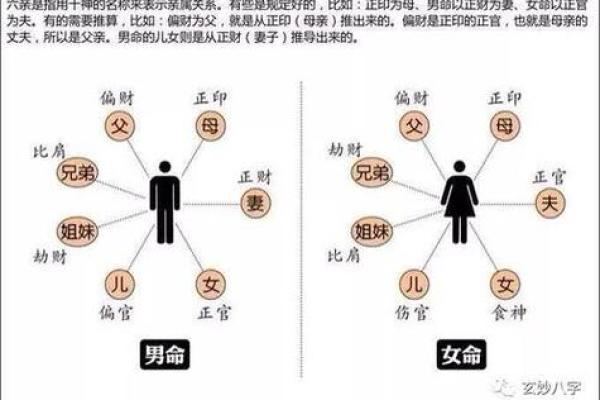 夫妻宫解析揭秘婚姻运势与命理奥秘_1737300499 夫妻宫解析揭秘婚姻运势与命理奥秘_1737300499