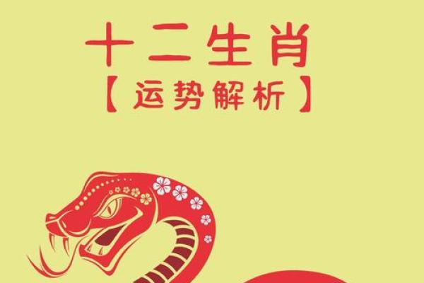 属兔2025年多少岁_99年属兔人2025年运势 属兔2025年多少岁_99年属兔人2025年运势
