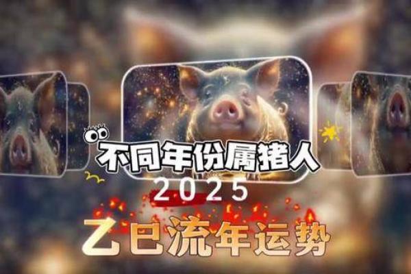2025年属猪运势大爆发83年属猪人最旺的一年 2025年属猪运势大爆发83年属猪人最旺的一年