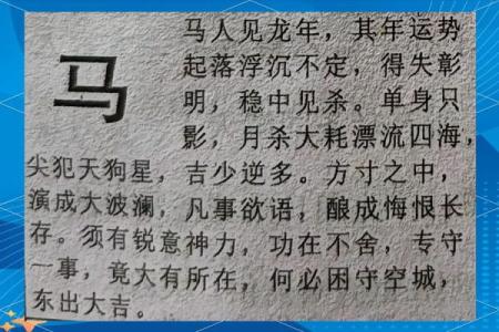 1978年属马女2025年每月运势及运程 1978年属马女2025年每月运势详解及运程指南