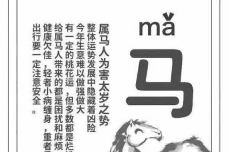 2025年属马人全年运势解析事业财运健康全预测