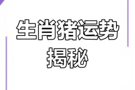 2007年属猪女孩学业运程解析运势与提升策略