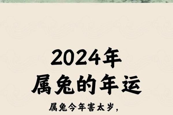 1987年属兔2025年每月运势完整版_1975年属兔2025年运势完整版 1987年属兔2025年每月运势完整版_1975年属兔2025年运势完整版