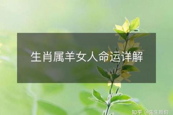 属羊2003年女孩命运_属羊2003年女孩命运如何 属羊2003年女孩命运_属羊2003年女孩命运如何
