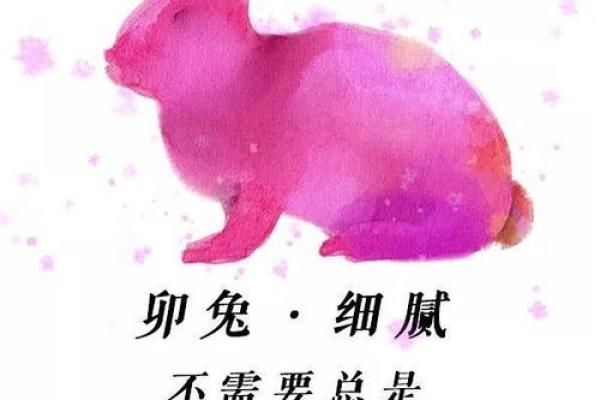 2025年兔年运势详解财运事业爱情全解析 2025年兔年运势详解财运事业爱情全解析