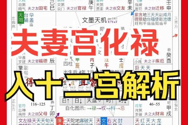 夫妻宫化忌是什么意思_夫妻宫冲运怎么化解 夫妻宫化忌是什么意思_夫妻宫冲运怎么化解