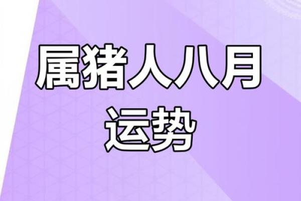 生肖猪2025年运程_2025年生肖猪全年运势详解财运事业感情全面解析 生肖猪2025年运程_2025年生肖猪全年运势详解财运事业感情全面解析
