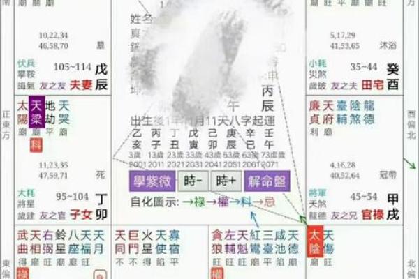 夫妻宫左辅右弼 夫妻宫左辅右弼必有小三吗 夫妻宫左辅右弼 夫妻宫左辅右弼必有小三吗