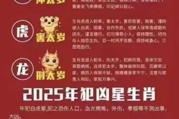 2025年属猪的多大_2025年属猪的多大 2025年属猪的多大_2025年属猪的多大