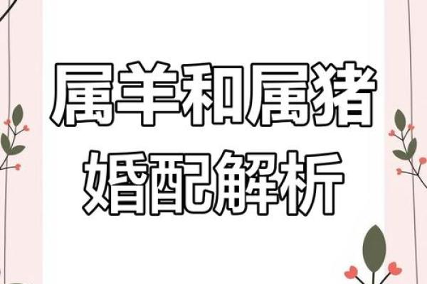 男生属羊最佳婚配_男生属羊最佳婚配指南属相配对与幸福婚姻秘诀 男生属羊最佳婚配_男生属羊最佳婚配指南属相配对与幸福婚姻秘诀