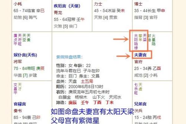 福德宫化禄 福德宫化禄财运亨通的神秘命理解析 福德宫化禄 福德宫化禄财运亨通的神秘命理解析