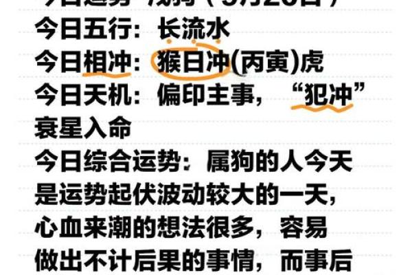 2006属狗女孩一生学业运 2006属狗女孩学业运势解析一生学业运如何 2006属狗女孩一生学业运 2006属狗女孩学业运势解析一生学业运如何
