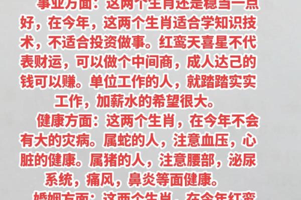属鸡与属猪的姻缘解析配对运势与幸福指数 属鸡与属猪的姻缘解析配对运势与幸福指数