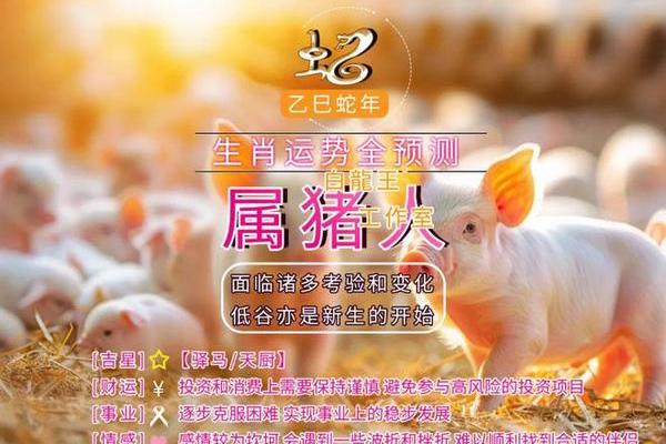 2025年属猪运势及运程1983年生人_2025年属猪运势及运程1971年生人 2025年属猪运势及运程1983年生人_2025年属猪运势及运程1971年生人