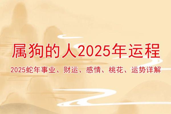 2025属狗人运势_2025年属狗人运势详解事业财运爱情全解析 2025属狗人运势_2025年属狗人运势详解事业财运爱情全解析