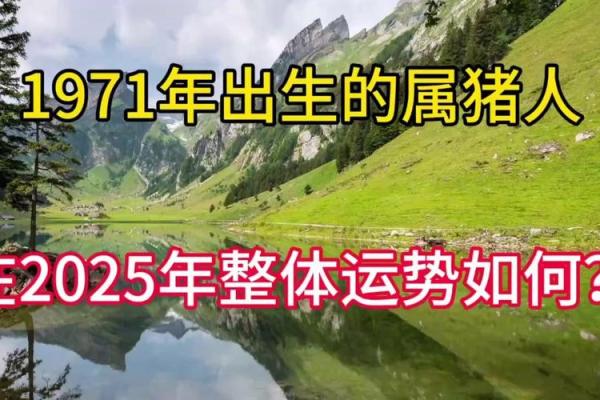 属猪人2025年全年运势及运程_2025年属猪人全年运势详解运程大揭秘 属猪人2025年全年运势及运程_2025年属猪人全年运势详解运程大揭秘