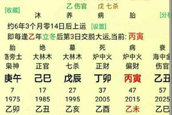 1994年属狗2026年运势详解事业财运与感情走向 1994年属狗2026年运势详解事业财运与感情走向