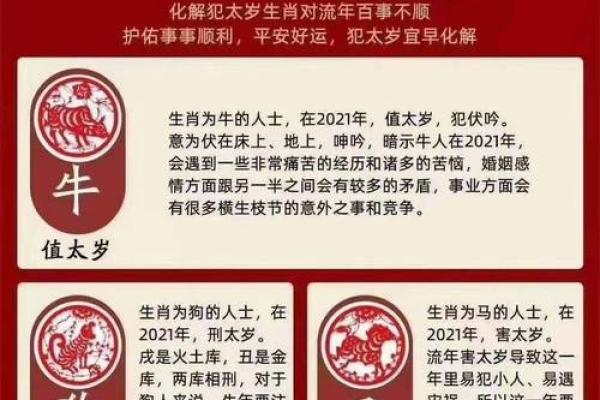 1981年属鸡今年多大2023年属鸡人年龄详解 1981年属鸡今年多大2023年属鸡人年龄详解