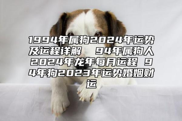 1994属狗男2025年的运势和婚姻 94年属狗男未来五年 1994属狗男2025年的运势和婚姻 94年属狗男未来五年
