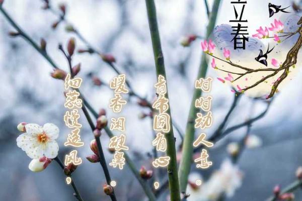 2021年几点打春 2021年几点打春