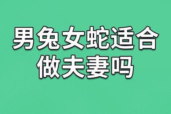 1987属兔的婚姻和命运 1987属兔婚姻命运解析幸福与挑战并存 1987属兔的婚姻和命运 1987属兔婚姻命运解析幸福与挑战并存
