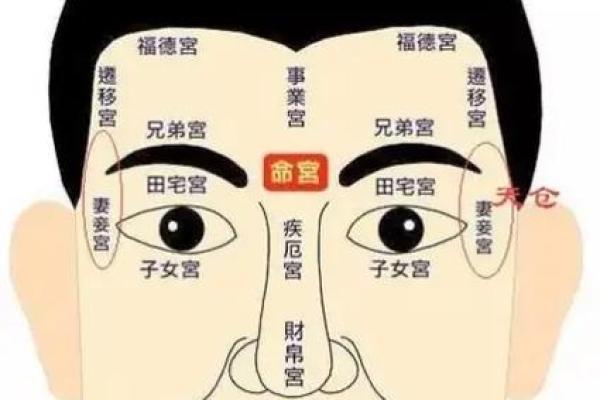 夫妻宫 夫妻宫解析揭秘婚姻运势与感情走向 夫妻宫 夫妻宫解析揭秘婚姻运势与感情走向