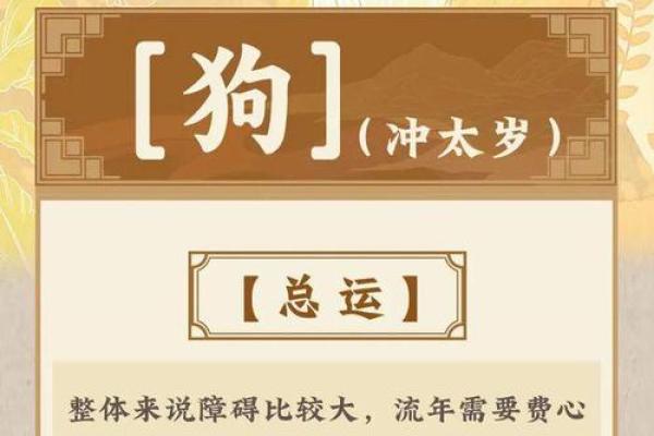 2025年生肖狗全年运势详解财运事业爱情全面解析 2025年生肖狗全年运势详解财运事业爱情全面解析
