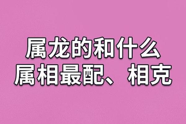 属猪跟属龙的相配吗 属猪和属龙相配吗生肖配对解析与婚姻建议 属猪跟属龙的相配吗 属猪和属龙相配吗生肖配对解析与婚姻建议