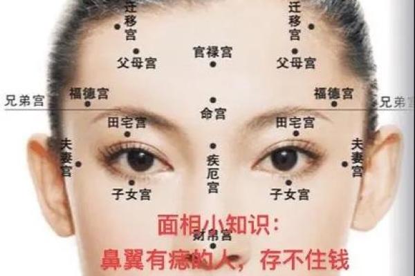 夫妻宫化权入福德宫 夫妻宫化权入福德宫巨门 夫妻宫化权入福德宫 夫妻宫化权入福德宫巨门