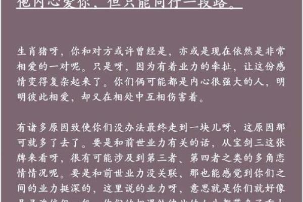 属猪和属猪的婚姻相配吗解析猪年夫妻的缘分与挑战 属猪和属猪的婚姻相配吗解析猪年夫妻的缘分与挑战