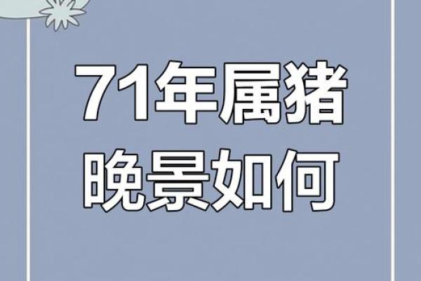 属猪人2025年全年运势详解_1971年属猪男2025年全年运势 属猪人2025年全年运势详解_1971年属猪男2025年全年运势