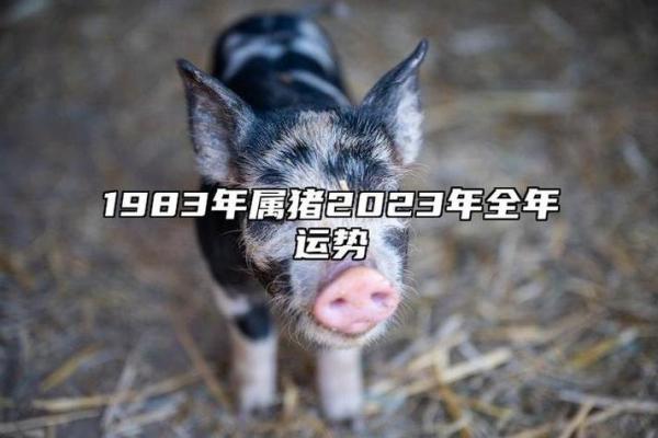 71年属猪人2025年每月运势_2025年属猪人每月运势 71年属猪人2025年每月运势_2025年属猪人每月运势