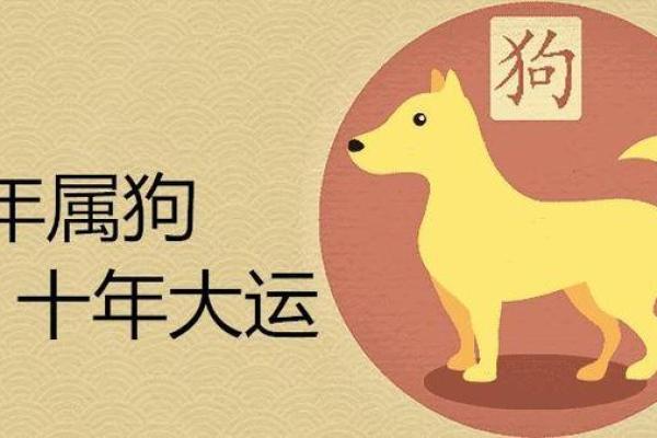 1982年属狗男2025年每月运势详解及运程分析 1982年属狗男2025年每月运势详解及运程分析