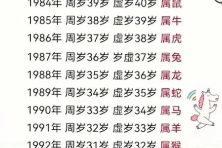 2024年2月属龙人年龄对照表出生年份与岁数速查