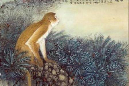 劳苦功高打一生肖(劳苦功高打一生肖数字)