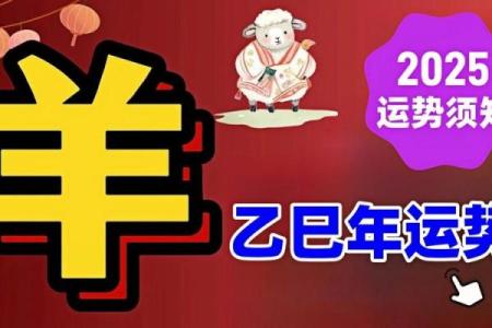 2025年生肖羊1979运势大全及解析 2025彻底翻身的生肖羊