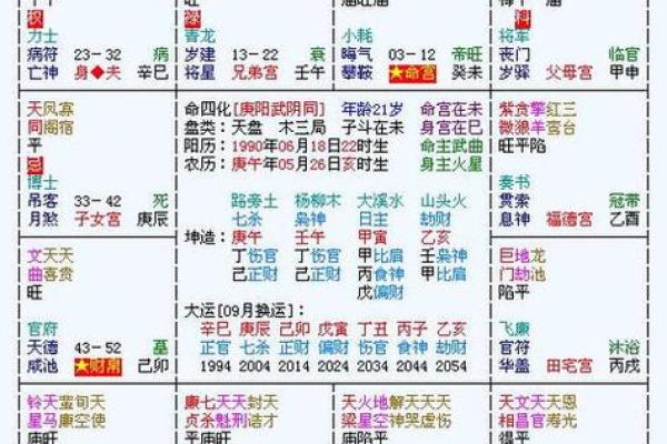 父母宫化忌 父母宫化忌入田宅宫 父母宫化忌 父母宫化忌入田宅宫