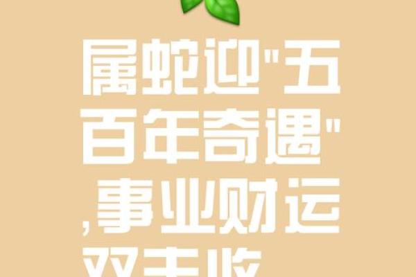 2025年蛇年属狗运势详解事业财运爱情全解析 2025年蛇年属狗运势详解事业财运爱情全解析