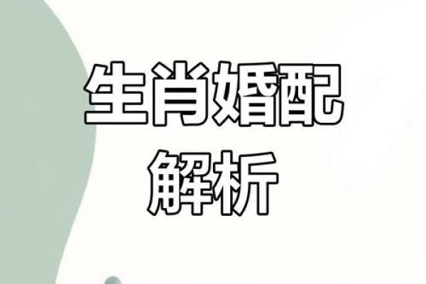 1995属猪男的命运与婚姻 1995属猪男的命运与婚姻农历12月 1995属猪男的命运与婚姻 1995属猪男的命运与婚姻农历12月