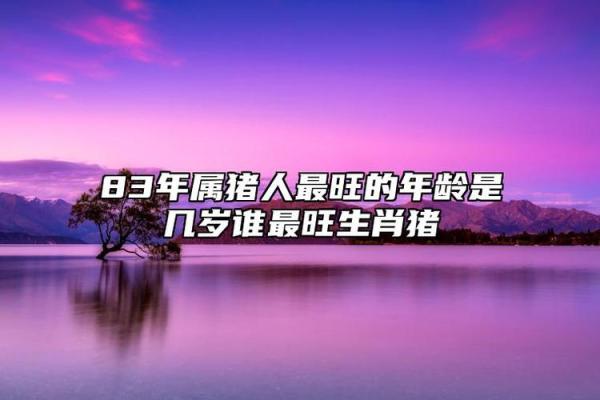 1983年属猪人2025年运势及运程_属猪运势2025年运势详解1983出生 1983年属猪人2025年运势及运程_属猪运势2025年运势详解1983出生