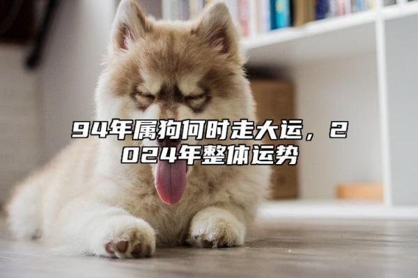 94年属狗女2025年全年运势最新版_2025年属狗女全年运势详解94年出生者必看 94年属狗女2025年全年运势最新版_2025年属狗女全年运势详解94年出生者必看