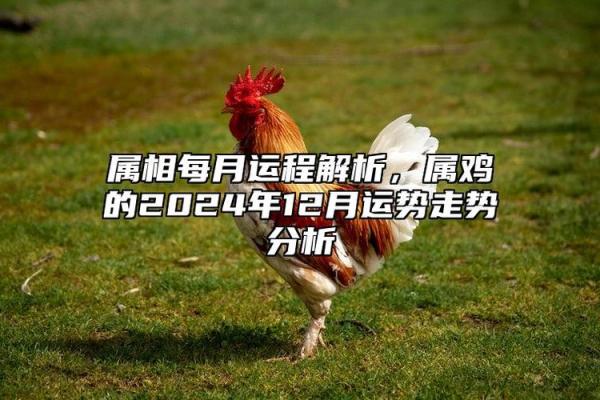 1981属鸡女2025年运势解析喜事将至 1981属鸡女2025年运势解析喜事将至