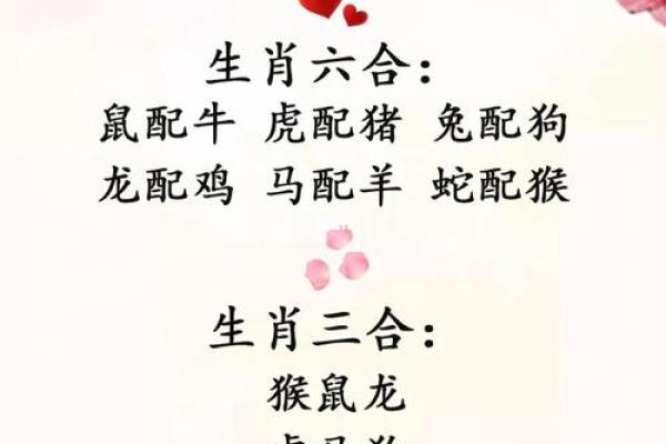 属鸡女生最佳婚配属相揭秘幸福婚姻的生肖密码 属鸡女生最佳婚配属相揭秘幸福婚姻的生肖密码