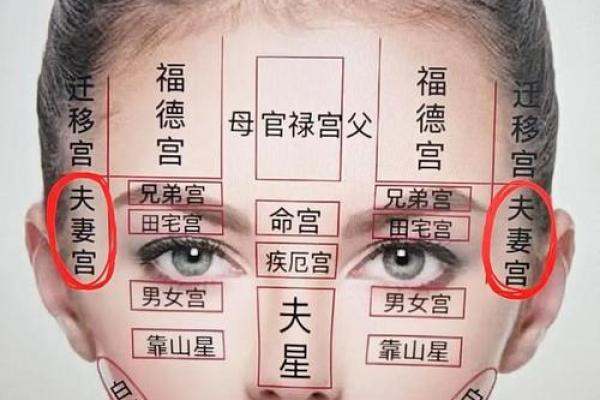 夫妻宫揭秘如何从命盘看配偶特征与婚姻运势 夫妻宫揭秘如何从命盘看配偶特征与婚姻运势