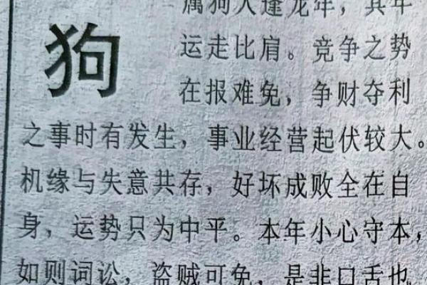 1982年属狗人的全年运势 1982年属狗人2023年全年运势详解及运势提升指南 1982年属狗人的全年运势 1982年属狗人2023年全年运势详解及运势提升指南
