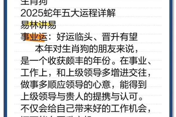 70年属狗的今日运势_70年属狗今日运势解析财运事业感情全揭秘 70年属狗的今日运势_70年属狗今日运势解析财运事业感情全揭秘
