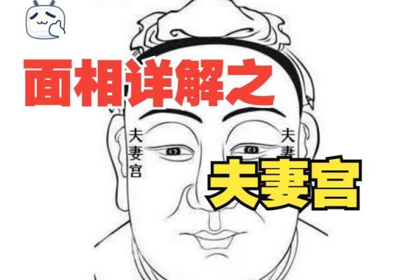 八字夫妻宫在哪_八字夫妻宫位置解析如何准确找到你的婚姻宫位 八字夫妻宫在哪_八字夫妻宫位置解析如何准确找到你的婚姻宫位