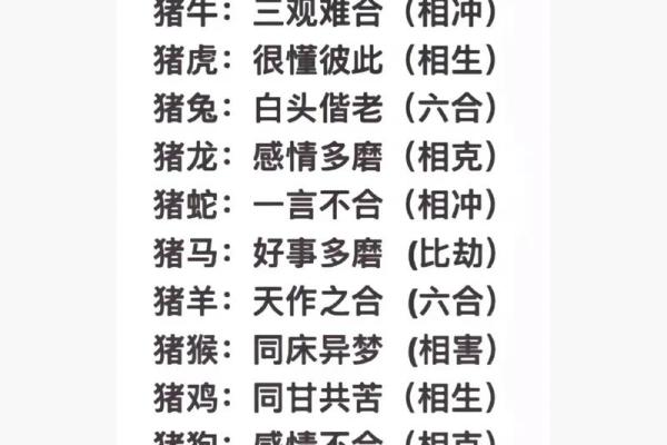 属马的和属猪的适合做夫妻吗 属马的和属猪的能合得来吗 属马的和属猪的适合做夫妻吗 属马的和属猪的能合得来吗